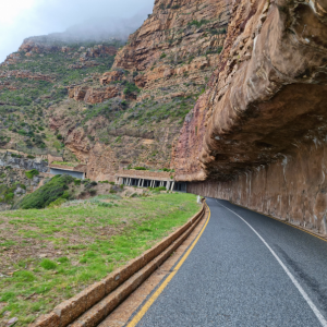 Cape Point Private Tour - Full Day