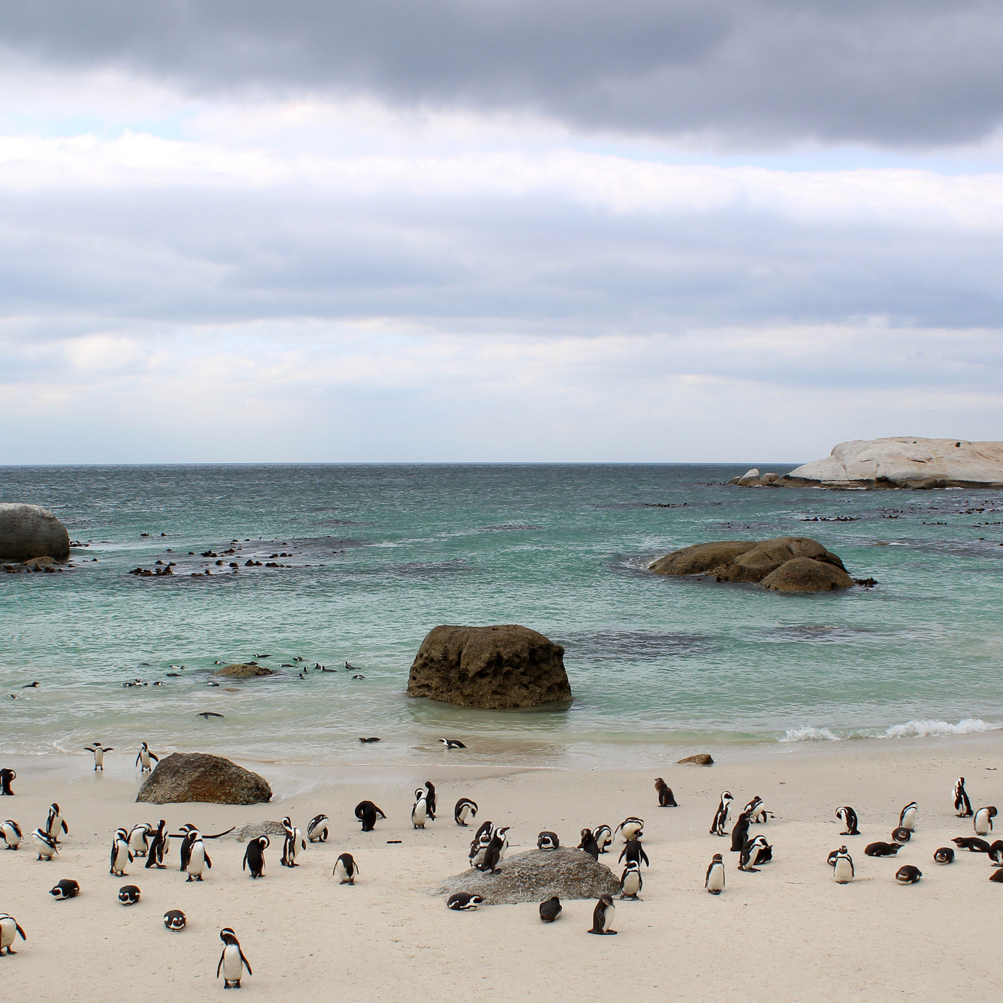Cape Town Packages 2025 / 2026 - 3 ½ Day Ultimate Cape Experience