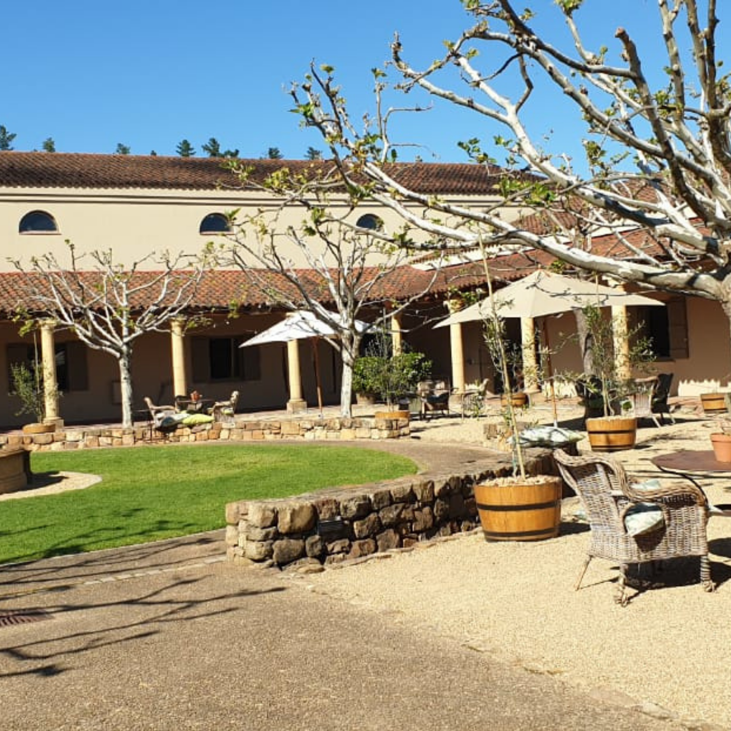 Winelands Tour Private Half Day