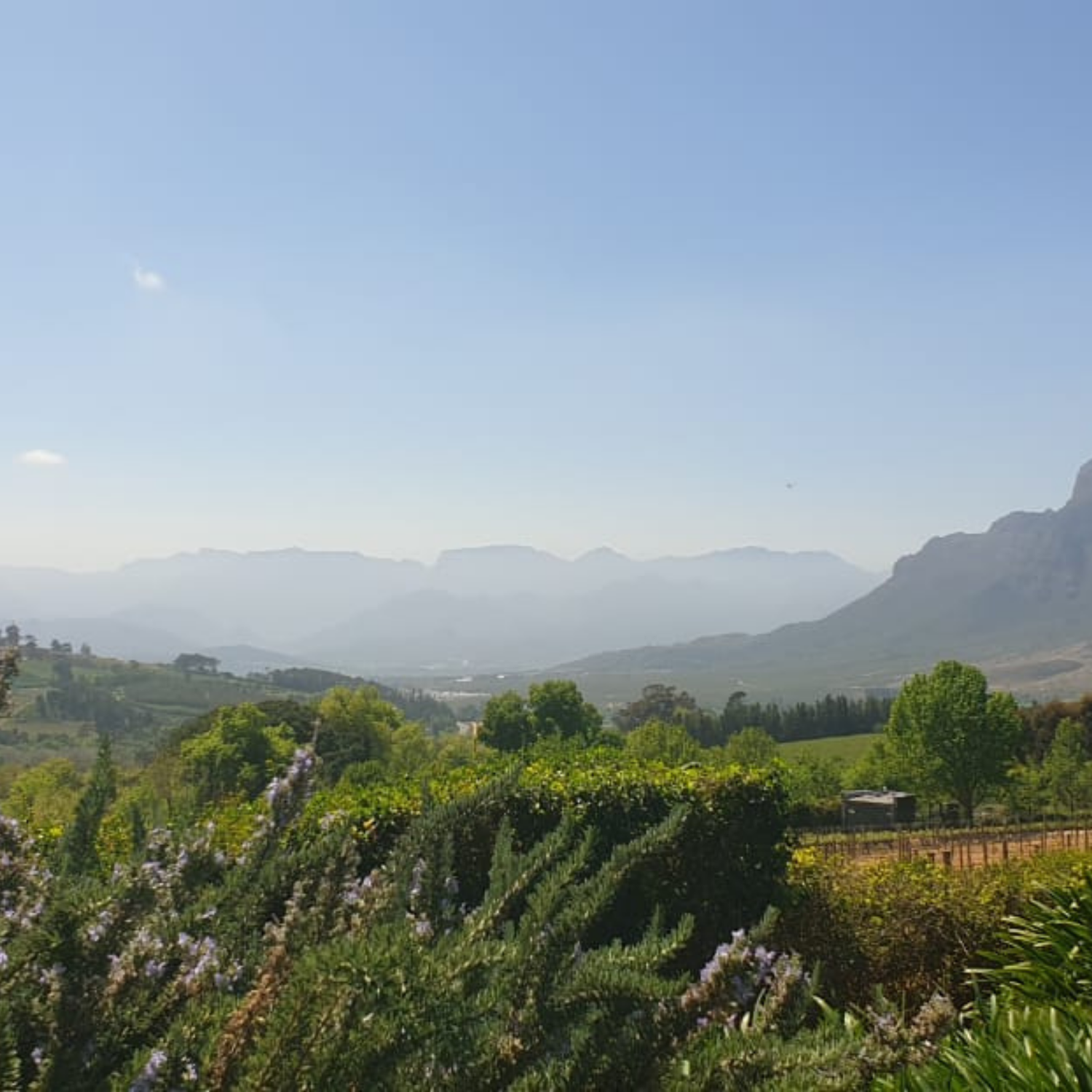 Private Full Day Tours