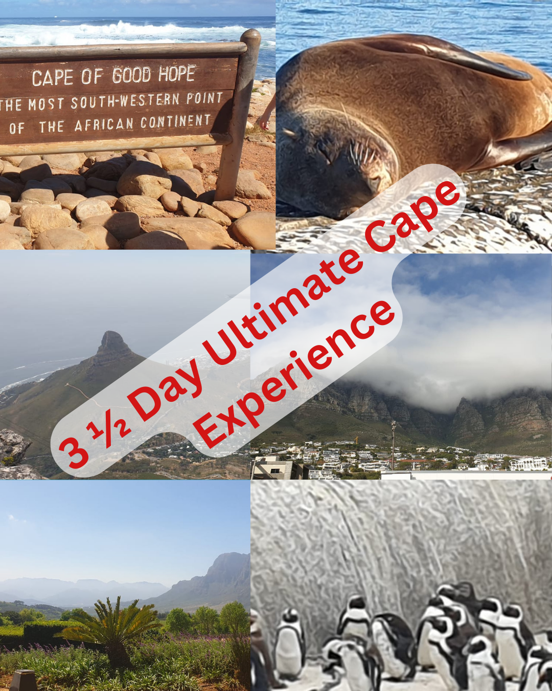 Holiday Package Cape Town